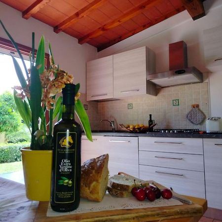 I Cavalleggeri Villa กัสตาลเญโต การ์ดุชชี ภายนอก รูปภาพ
