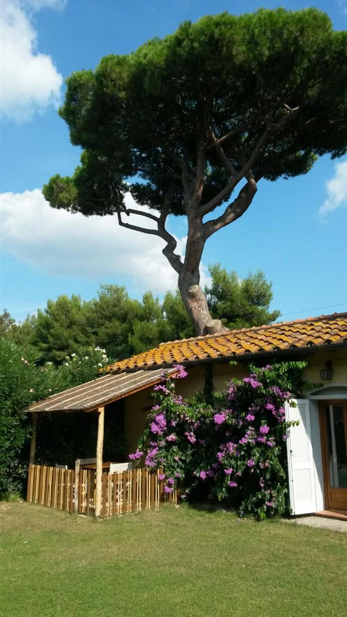 I Cavalleggeri Villa กัสตาลเญโต การ์ดุชชี ภายนอก รูปภาพ